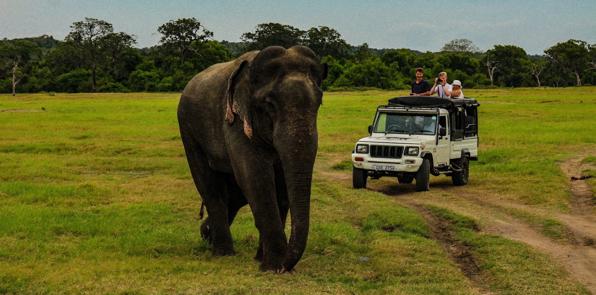 Day 7 Drive to Tissamaharama / Yala National Park safari