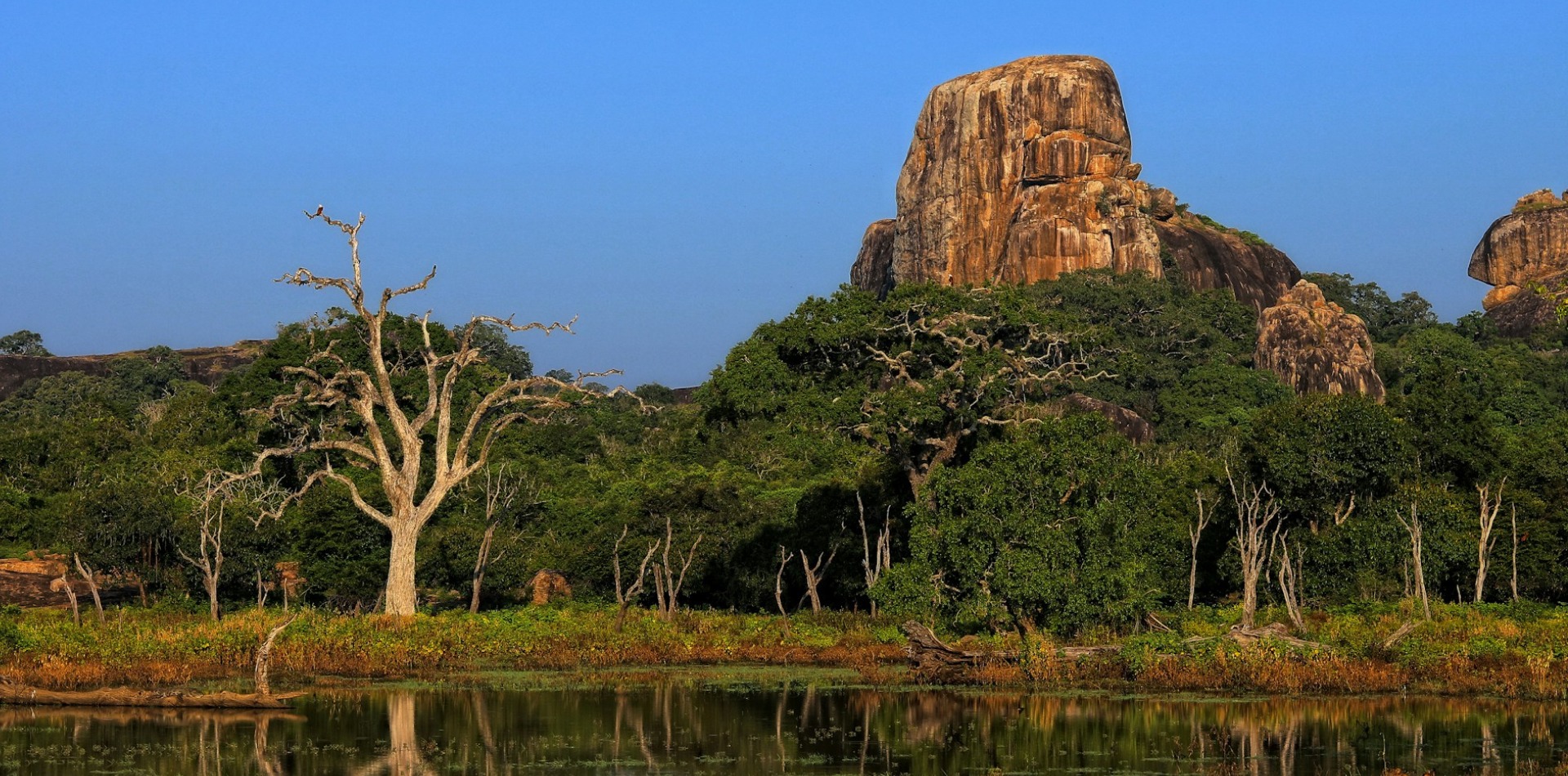 Day 8 Yala National Park Safari