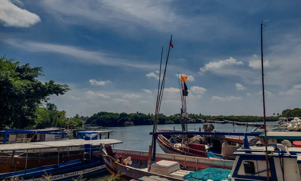 Day 1 Arrival to SriLanka : Negombo Bech