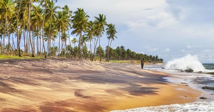 Day 1 Arrival to Sri Lanka & Transfer to Negombo Beach