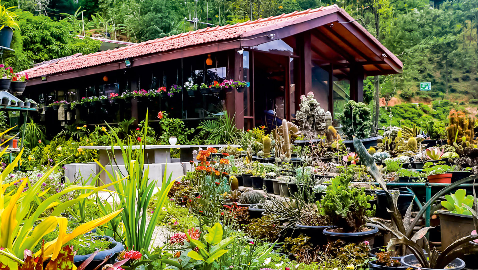 Ella Flower Garden