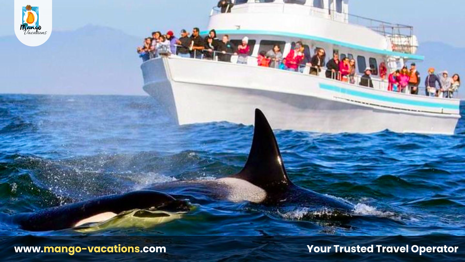 Best Places to visit in December Sri Lanka