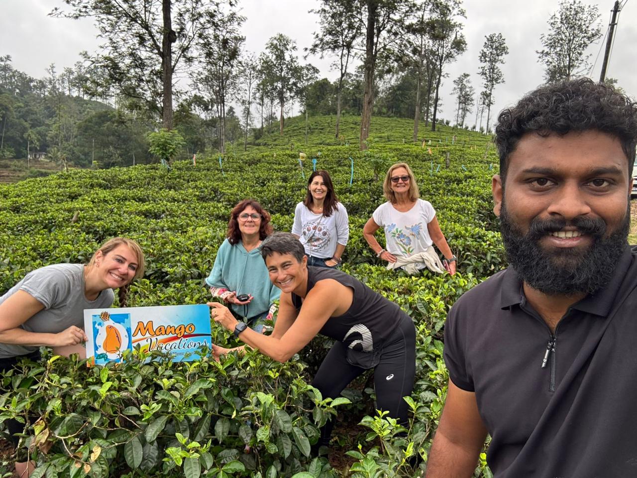 All in One Classic 14-Day Small Group Tour – Discover the Soul of Sri Lanka